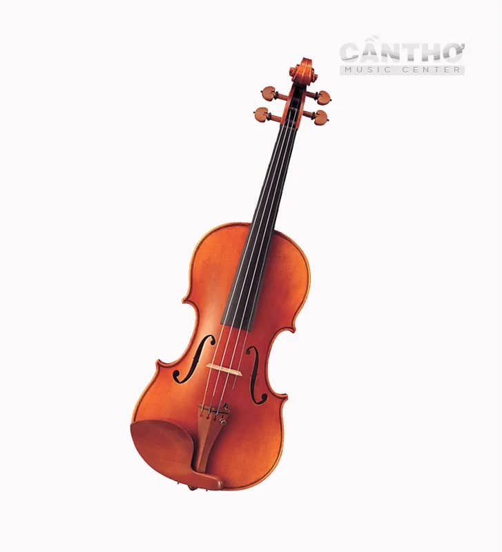 đàn violin V20G front yamaha moi Nhạc cụ Yamaha chính hãng Cần Thơ Music Center